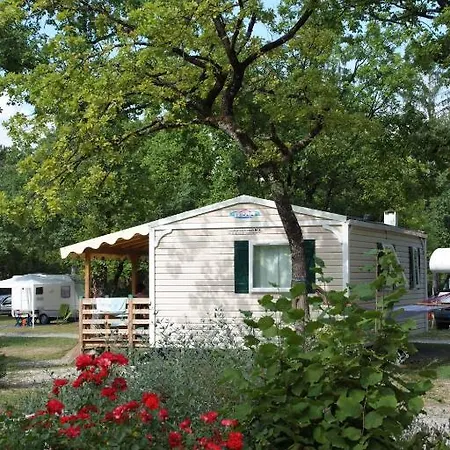 캠프장 Camping Du Leman Saint Disdille